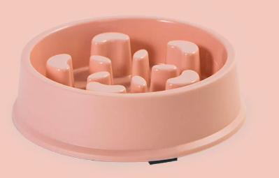 Pet Slow Feed Bowl for Dogs to Prevent Choking
